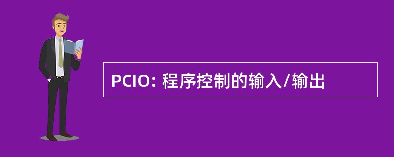 PCIO: 程序控制的输入/输出