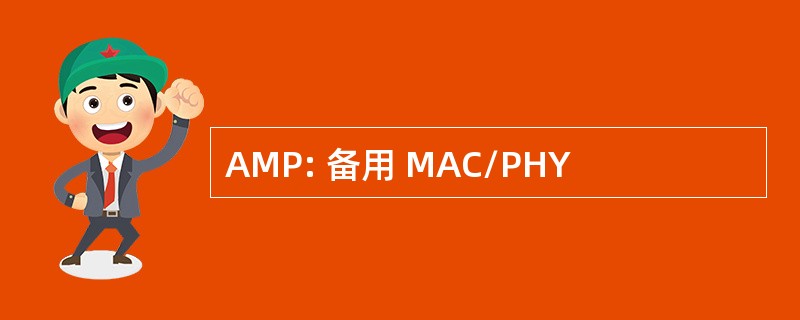 AMP: 备用 MAC/PHY