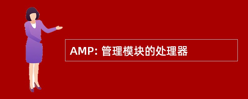 AMP: 管理模块的处理器