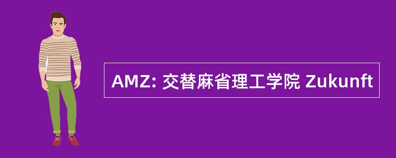 AMZ: 交替麻省理工学院 Zukunft