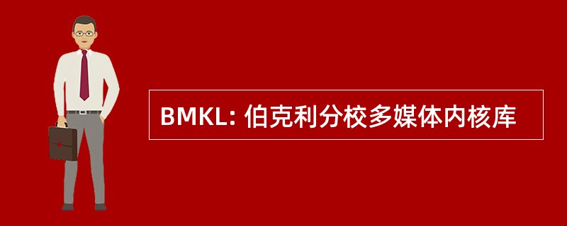 BMKL: 伯克利分校多媒体内核库