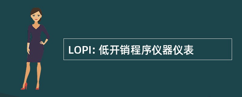 LOPI: 低开销程序仪器仪表