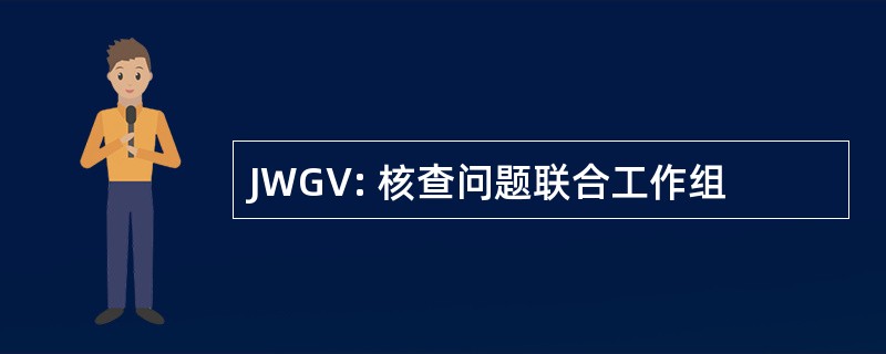 JWGV: 核查问题联合工作组