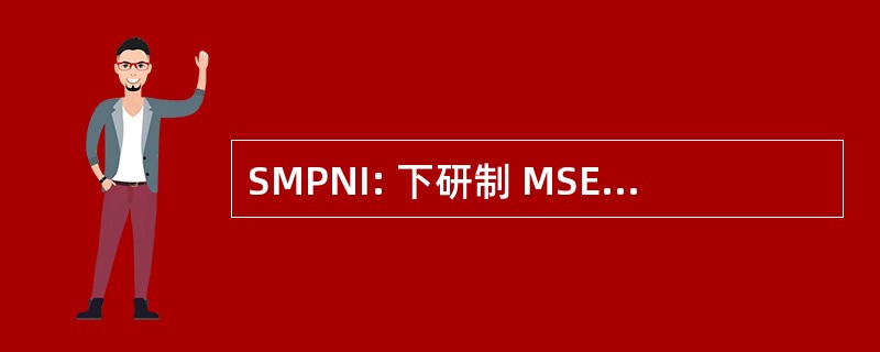 SMPNI: 下研制 MSE 数据包网络接口