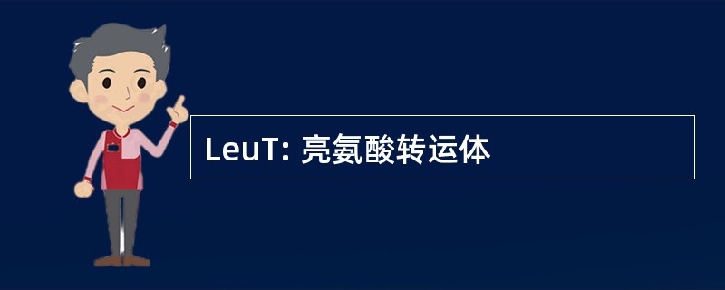 LeuT: 亮氨酸转运体