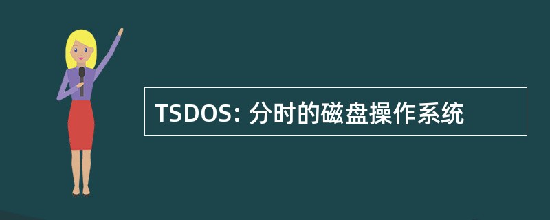 TSDOS: 分时的磁盘操作系统