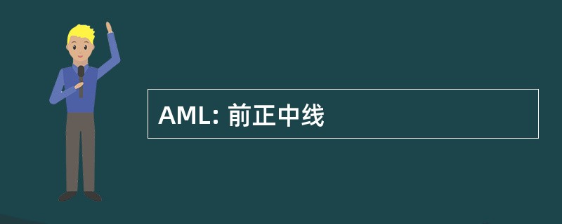 AML: 前正中线