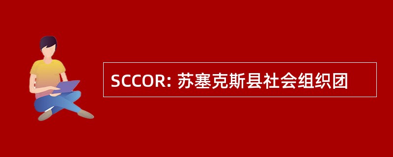 SCCOR: 苏塞克斯县社会组织团