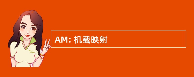 AM: 机载映射