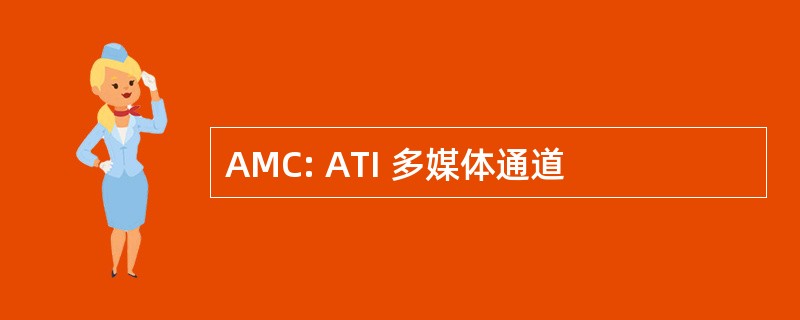 AMC: ATI 多媒体通道