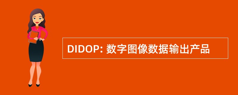 DIDOP: 数字图像数据输出产品