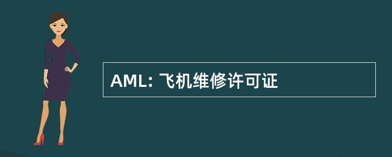 AML: 飞机维修许可证