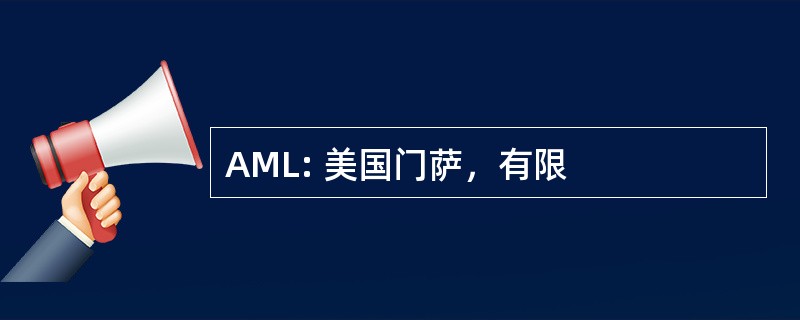 AML: 美国门萨，有限