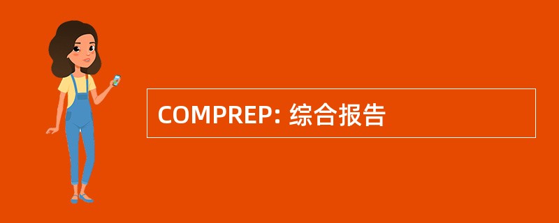 COMPREP: 综合报告