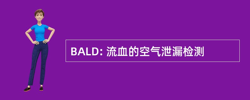 BALD: 流血的空气泄漏检测