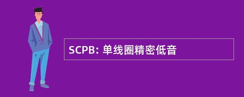 SCPB: 单线圈精密低音