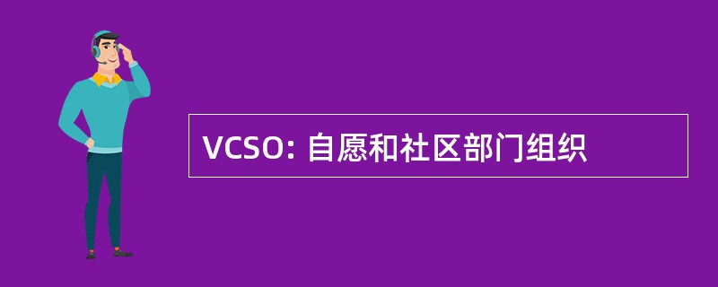 VCSO: 自愿和社区部门组织