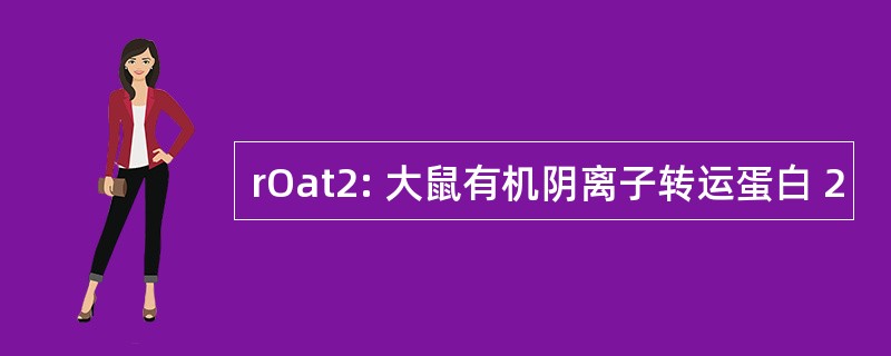 rOat2: 大鼠有机阴离子转运蛋白 2