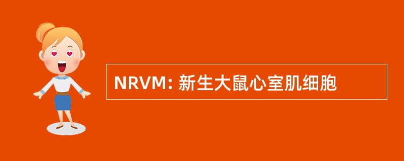 NRVM: 新生大鼠心室肌细胞