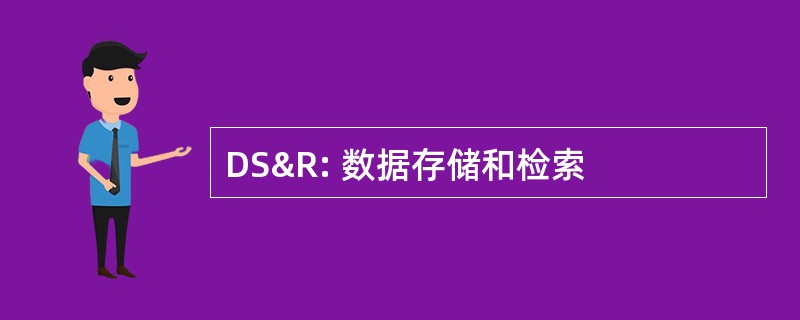 DS&amp;R: 数据存储和检索