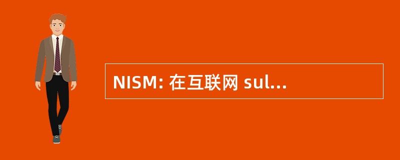 NISM: 在互联网 sul Mare Navigare