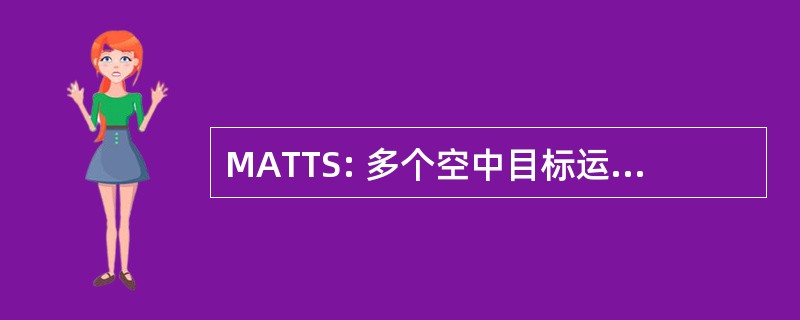 MATTS: 多个空中目标运动轨迹系统