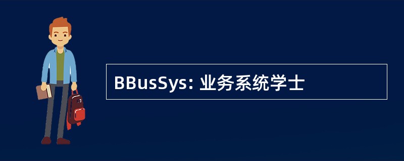 BBusSys: 业务系统学士