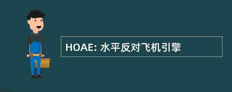 HOAE: 水平反对飞机引擎