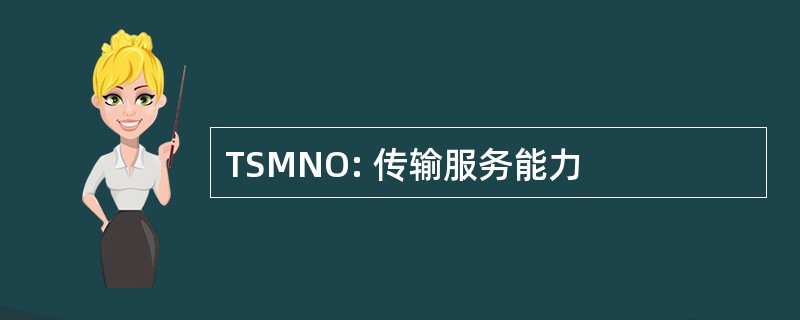 TSMNO: 传输服务能力