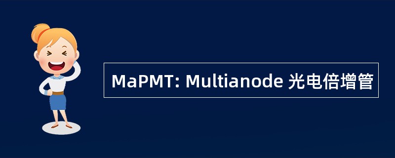 MaPMT: Multianode 光电倍增管