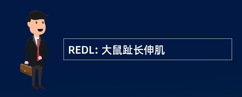 REDL: 大鼠趾长伸肌