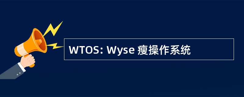 WTOS: Wyse 瘦操作系统