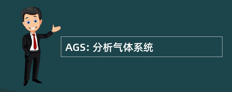 AGS: 分析气体系统