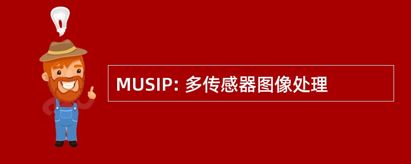 MUSIP: 多传感器图像处理