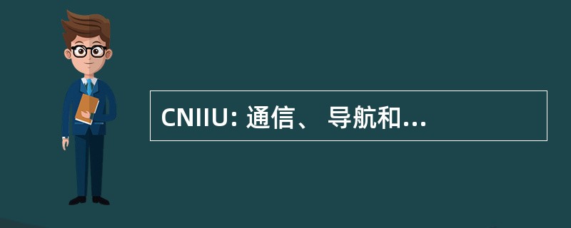 CNIIU: 通信、 导航和识别接口单元