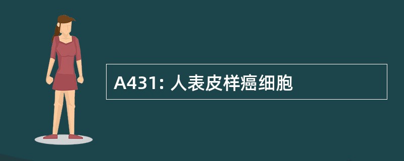 A431: 人表皮样癌细胞