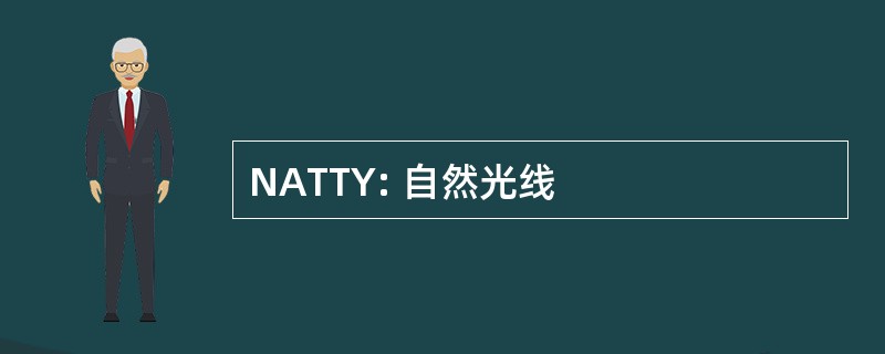 NATTY: 自然光线