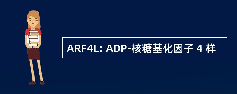 ARF4L: ADP-核糖基化因子 4 样