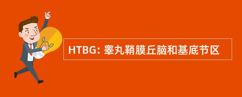 HTBG: 睾丸鞘膜丘脑和基底节区