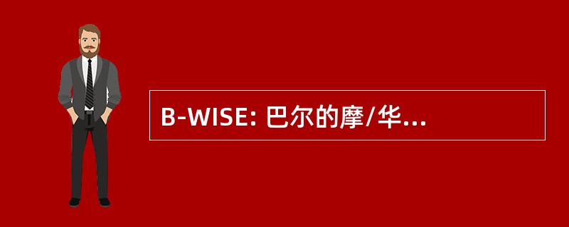 B-WISE: 巴尔的摩/华盛顿信息系统教育工作者