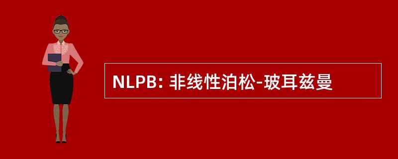 NLPB: 非线性泊松-玻耳兹曼