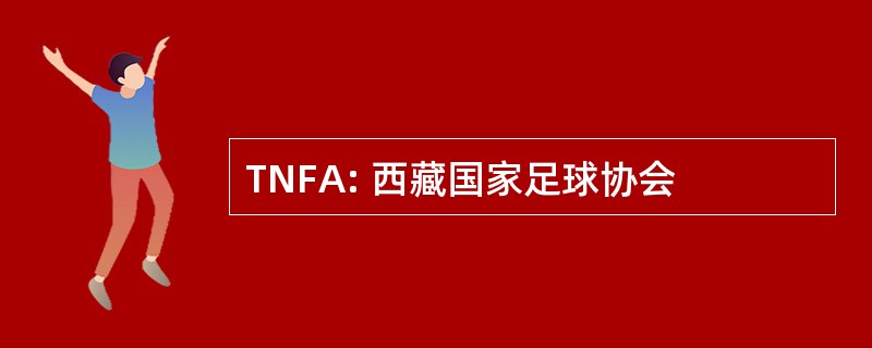 TNFA: 西藏国家足球协会