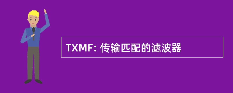 TXMF: 传输匹配的滤波器