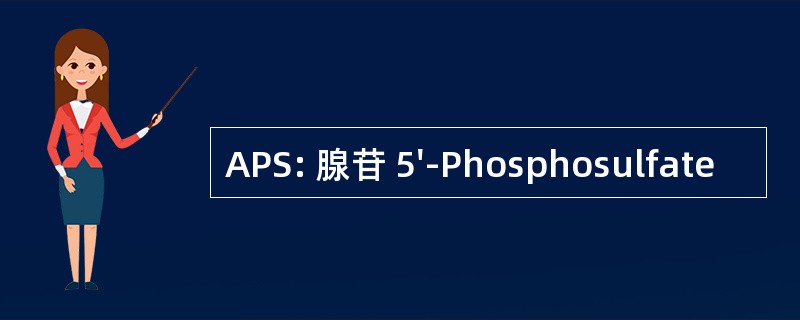 APS: 腺苷 5&#039;-Phosphosulfate