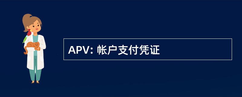 APV: 帐户支付凭证