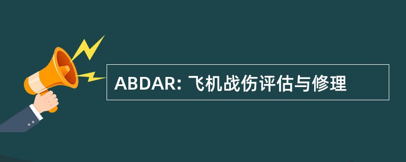 ABDAR: 飞机战伤评估与修理