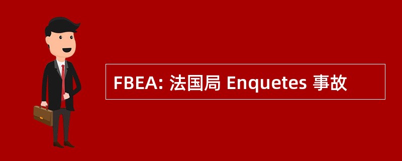 FBEA: 法国局 Enquetes 事故