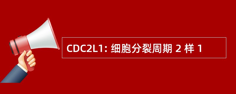 CDC2L1: 细胞分裂周期 2 样 1