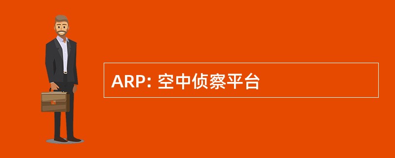 ARP: 空中侦察平台