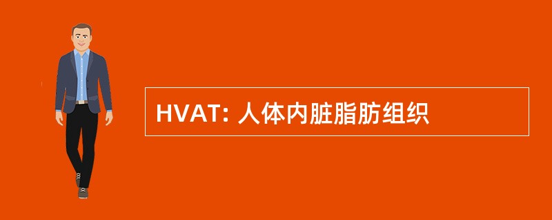 HVAT: 人体内脏脂肪组织